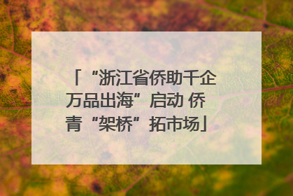 “浙江省侨助千企万品出海”启动 侨青“架桥”拓市场